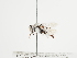  ( - TJW_1200)  @11 [ ] nrr (2023) Unspecified Thomas Wood