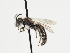  ( - TJW_1214)  @11 [ ] nrr (2023) Unspecified Thomas Wood