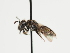  ( - TJW_1236)  @11 [ ] nrr (2023) Unspecified Thomas Wood