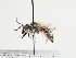  ( - TJW_1239)  @11 [ ] nrr (2023) Unspecified Thomas Wood