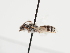  ( - TJW_1247)  @11 [ ] nrr (2023) Unspecified Thomas Wood