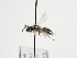  ( - TJW_1248)  @11 [ ] nrr (2023) Unspecified Thomas Wood