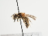  ( - TJW_1251)  @11 [ ] nrr (2023) Unspecified Thomas Wood