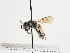  ( - TJW_1255)  @11 [ ] nrr (2023) Unspecified Thomas Wood