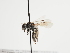  ( - TJW_1257)  @11 [ ] nrr (2023) Unspecified Thomas Wood