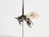  ( - TJW_1258)  @11 [ ] nrr (2023) Unspecified Thomas Wood