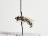  ( - TJW_1265)  @11 [ ] nrr (2023) Unspecified Thomas Wood