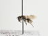  ( - TJW_1269)  @11 [ ] nrr (2023) Unspecified Thomas Wood