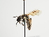  ( - TJW_1271)  @11 [ ] nrr (2023) Unspecified Thomas Wood