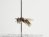  ( - TJW_1283)  @11 [ ] nrr (2023) Unspecified Thomas Wood