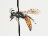  ( - TJW_1287)  @11 [ ] nrr (2023) Unspecified Thomas Wood