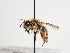  ( - TJW_1299)  @11 [ ] nrr (2023) Unspecified Thomas Wood