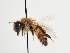  ( - TJW_1316)  @11 [ ] nrr (2023) Unspecified Thomas Wood