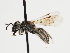  ( - TJW_1317)  @11 [ ] nrr (2023) Unspecified Thomas Wood