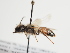  ( - TJW_1320)  @11 [ ] nrr (2023) Unspecified Thomas Wood