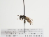  ( - TJW_1329)  @11 [ ] nrr (2023) Unspecified Thomas Wood