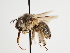  ( - TJW_1382)  @11 [ ] nrr (2023) Unspecified Thomas Wood