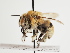  ( - TJW_1389)  @11 [ ] nrr (2023) Unspecified Thomas Wood