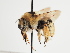  ( - TJW_1390)  @11 [ ] nrr (2023) Unspecified Thomas Wood