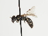  ( - TJW_1418)  @11 [ ] nrr (2023) Unspecified Thomas Wood