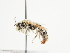  ( - TJW_1432)  @11 [ ] nrr (2023) Unspecified Thomas Wood