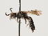  ( - TJW_1452)  @11 [ ] nrr (2023) Unspecified Thomas Wood