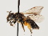  ( - TJW_1453)  @11 [ ] nrr (2023) Unspecified Thomas Wood
