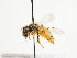  ( - TJW_1457)  @11 [ ] nrr (2023) Unspecified Thomas Wood