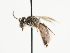  ( - TJW_1459)  @11 [ ] nrr (2023) Unspecified Thomas Wood
