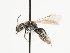  ( - TJW_1460)  @11 [ ] nrr (2023) Unspecified Thomas Wood