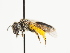  ( - TJW_1466)  @11 [ ] nrr (2023) Unspecified Thomas Wood