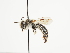  ( - TJW_1472)  @11 [ ] nrr (2023) Unspecified Thomas Wood