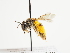  ( - TJW_1473)  @11 [ ] nrr (2023) Unspecified Thomas Wood