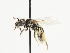  ( - TJW_1480)  @11 [ ] nrr (2023) Unspecified Thomas Wood
