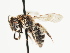  ( - TJW_1482)  @11 [ ] nrr (2023) Unspecified Thomas Wood