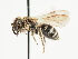  ( - TJW_1483)  @11 [ ] nrr (2023) Unspecified Thomas Wood