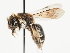  ( - TJW_1484)  @11 [ ] nrr (2023) Unspecified Thomas Wood