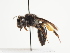  ( - TJW_1488)  @11 [ ] nrr (2023) Unspecified Thomas Wood