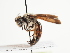  ( - TJW_1490)  @11 [ ] nrr (2023) Unspecified Thomas Wood
