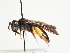  ( - TJW_1491)  @11 [ ] nrr (2023) Unspecified Thomas Wood