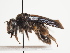  ( - TJW_1494)  @11 [ ] nrr (2023) Unspecified Thomas Wood