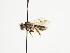 ( - TJW_1495)  @11 [ ] nrr (2023) Unspecified Thomas Wood