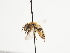 ( - TJW_1497)  @11 [ ] nrr (2023) Unspecified Thomas Wood