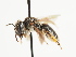  ( - TJW_1498)  @11 [ ] nrr (2023) Unspecified Thomas Wood