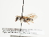  ( - TJW_1500)  @11 [ ] nrr (2023) Unspecified Thomas Wood