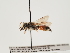  ( - TJW_1502)  @11 [ ] nrr (2023) Unspecified Thomas Wood