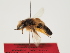  ( - TJW_1505)  @11 [ ] nrr (2023) Unspecified Thomas Wood
