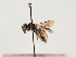  ( - TJW_1506)  @11 [ ] nrr (2023) Unspecified Thomas Wood