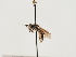  ( - TJW_1507)  @11 [ ] nrr (2023) Unspecified Thomas Wood