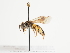  ( - TJW_1508)  @11 [ ] nrr (2023) Unspecified Thomas Wood